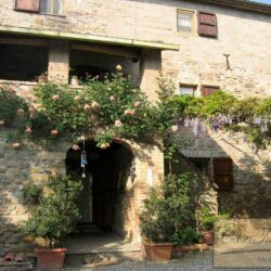 Beautiful House with pool for sale near Monterchi (2)-1200