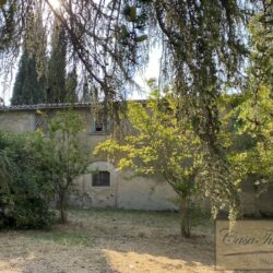 Large Estate to Restore near Cortona Tuscany (35)-1200