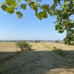 Large Estate to Restore near Cortona Tuscany (39)-1200