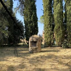 Large Estate to Restore near Cortona Tuscany (5)-1200