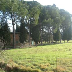 Large Estate to Restore near Cortona Tuscany (8)-1200