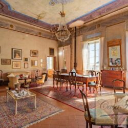 Historic Villa for sale near Lucca (8)