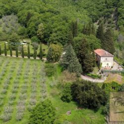 Property with Pool for sale near Pontassieve Florence Tuscany (12)-1200
