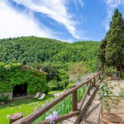 Property with Pool for sale near Pontassieve Florence Tuscany (17)-1200