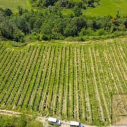 Historic Winery for sale near San Miniato Tuscany (1)-1200