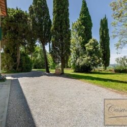 Historic Winery for sale near San Miniato Tuscany (17)-1200