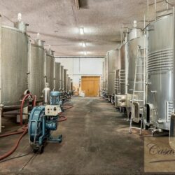 Historic Winery for sale near San Miniato Tuscany (23)-1200