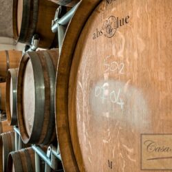Historic Winery for sale near San Miniato Tuscany (24)-1200