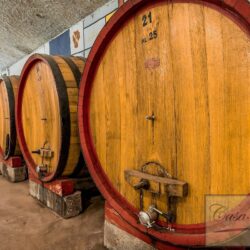 Historic Winery for sale near San Miniato Tuscany (25)-1200
