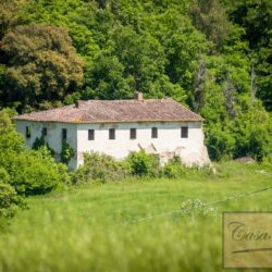 Historic Winery for sale near San Miniato Tuscany (26)-1200