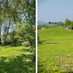 Historic Winery for sale near San Miniato Tuscany (29)-1200