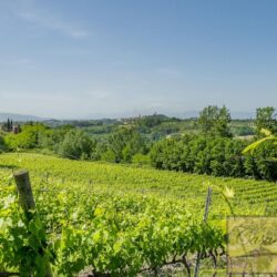 Historic Winery for sale near San Miniato Tuscany (30)-1200
