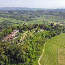 Historic Winery for sale near San Miniato Tuscany (33)-1200