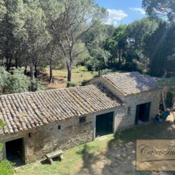 House to Restore near Cortona Tuscany (45)-1200