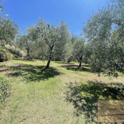 House with Pool for sale near Marti Tuscany (2)-1200