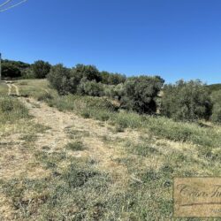 Property for sale with Lake Trasimeno view Umbria (14)-1200