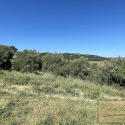 Property for sale with Lake Trasimeno view Umbria (15)-1200