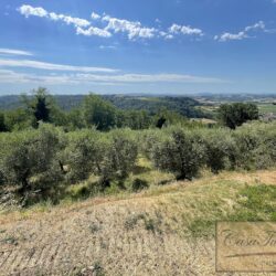 Agriturismo for sale in Tuscany (3)-1200
