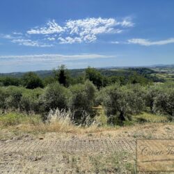 Agriturismo for sale in Tuscany (46)-1200