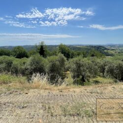 Agriturismo for sale in Tuscany (47)-1200