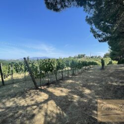 Agriturismo for sale in Tuscany (61)-1200