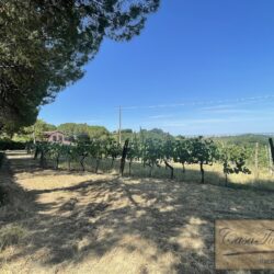Agriturismo for sale in Tuscany (62)-1200