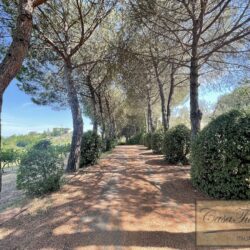 Agriturismo for sale in Tuscany (63)-1200