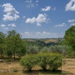 Beautiful Chianti Property for sale with Pool and 20 Hectares (19)-1200