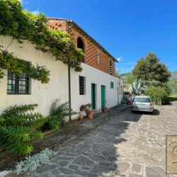 Villa with pool for sale near Buggiano Tuscany (113)