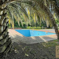 Villa with pool for sale near Buggiano Tuscany (115)