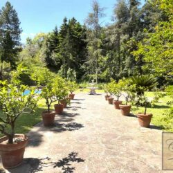 Villa with pool for sale near Buggiano Tuscany (135)