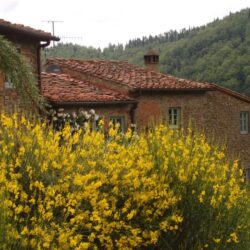 Beautiful Stone House for sale in Chianti (2)