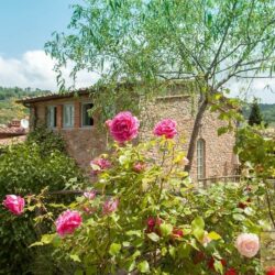 Beautiful Stone House for sale in Chianti (7)
