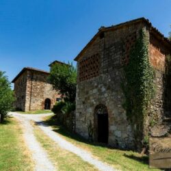 Wine and oil farm for sale near Cetona Tuscany (10)