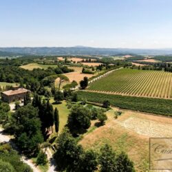 Wine and oil farm for sale near Cetona Tuscany (12)