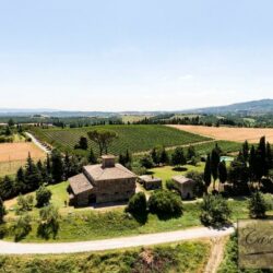 Wine and oil farm for sale near Cetona Tuscany (15)