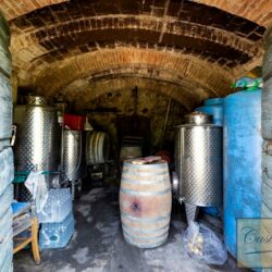 Wine and oil farm for sale near Cetona Tuscany (19)