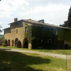 Wine and oil farm for sale near Cetona Tuscany (3)