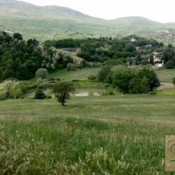 Wine and oil farm for sale near Cetona Tuscany (33)