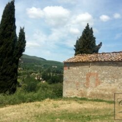 Wine and oil farm for sale near Cetona Tuscany (5)