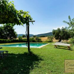 Wine and oil farm for sale near Cetona Tuscany (8)