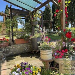 10 bedroom Farmhouse for sale near Santa Luce Pisa Tuscany (26)-1200