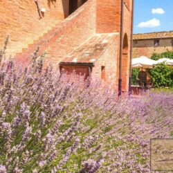 Boutique Hotel for sale in Tuscany (3)-1200