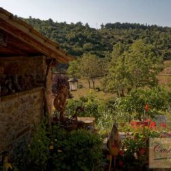 Chianti Farmhouse with pool for sale in Tuscany Bc (4)-1200