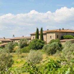 Agriturismo for sale with view of Volterra Tuscany (19)-1200