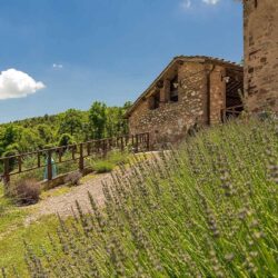 Beautiful Stone Farmhouse for sale near Siena with pool, Tuscany (17)-1200