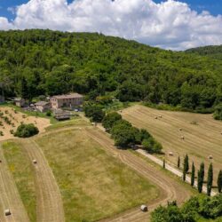 Beautiful Stone Farmhouse for sale near Siena with pool, Tuscany (28)-1200