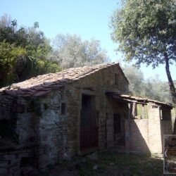 House for sale near Bramasole Tuscany (21)-1200