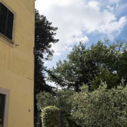 Large estate and agriturismo with 12 hectares for sale near Florence Tuscany (17)-1200