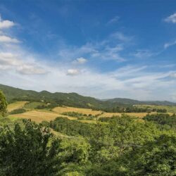 Large estate and agriturismo with 12 hectares for sale near Florence Tuscany (44)-1200